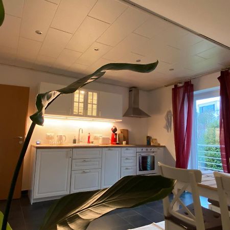 Moderne Ferienwohnung Seeblick 프로이덴베르크 외부 사진