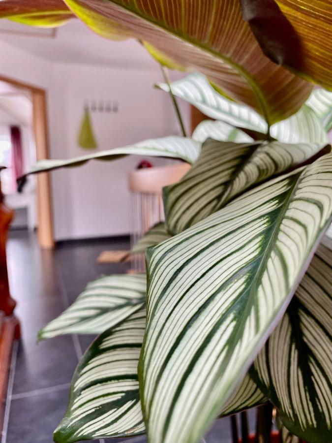 Moderne Ferienwohnung Seeblick 프로이덴베르크 외부 사진